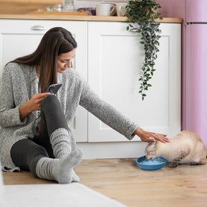 P.T. Supply Co. Cat Shaped Silicone Pet Bowl
