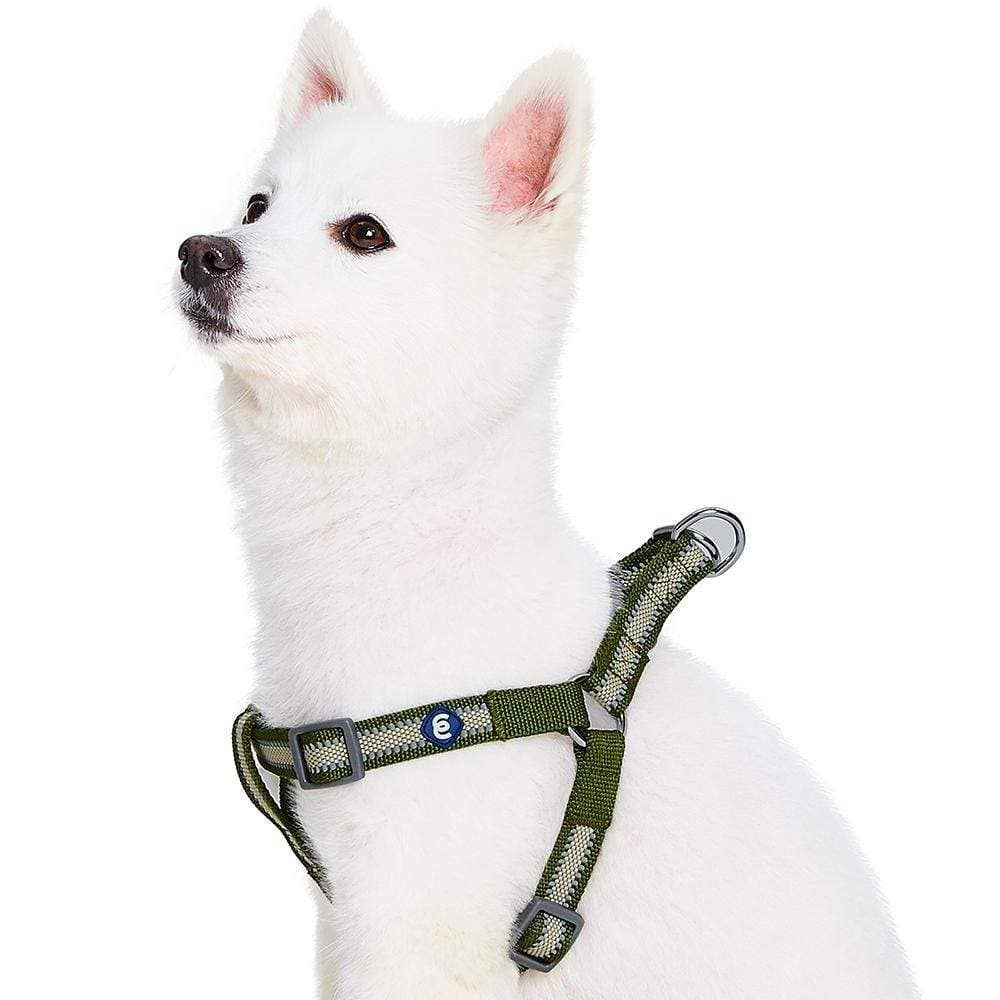 🌙🐾Better Basics Reflective Dog Harness