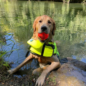 Fetch and Glow Ball