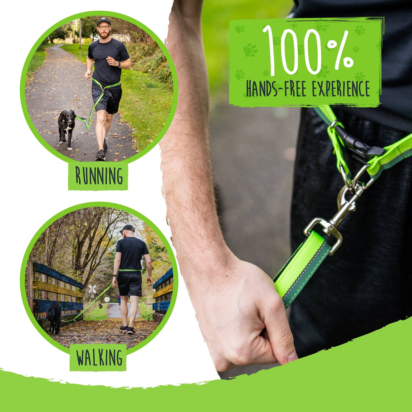 🏃♂️ Mighty Paw Hands-Free Bungee Leash Set 2.0