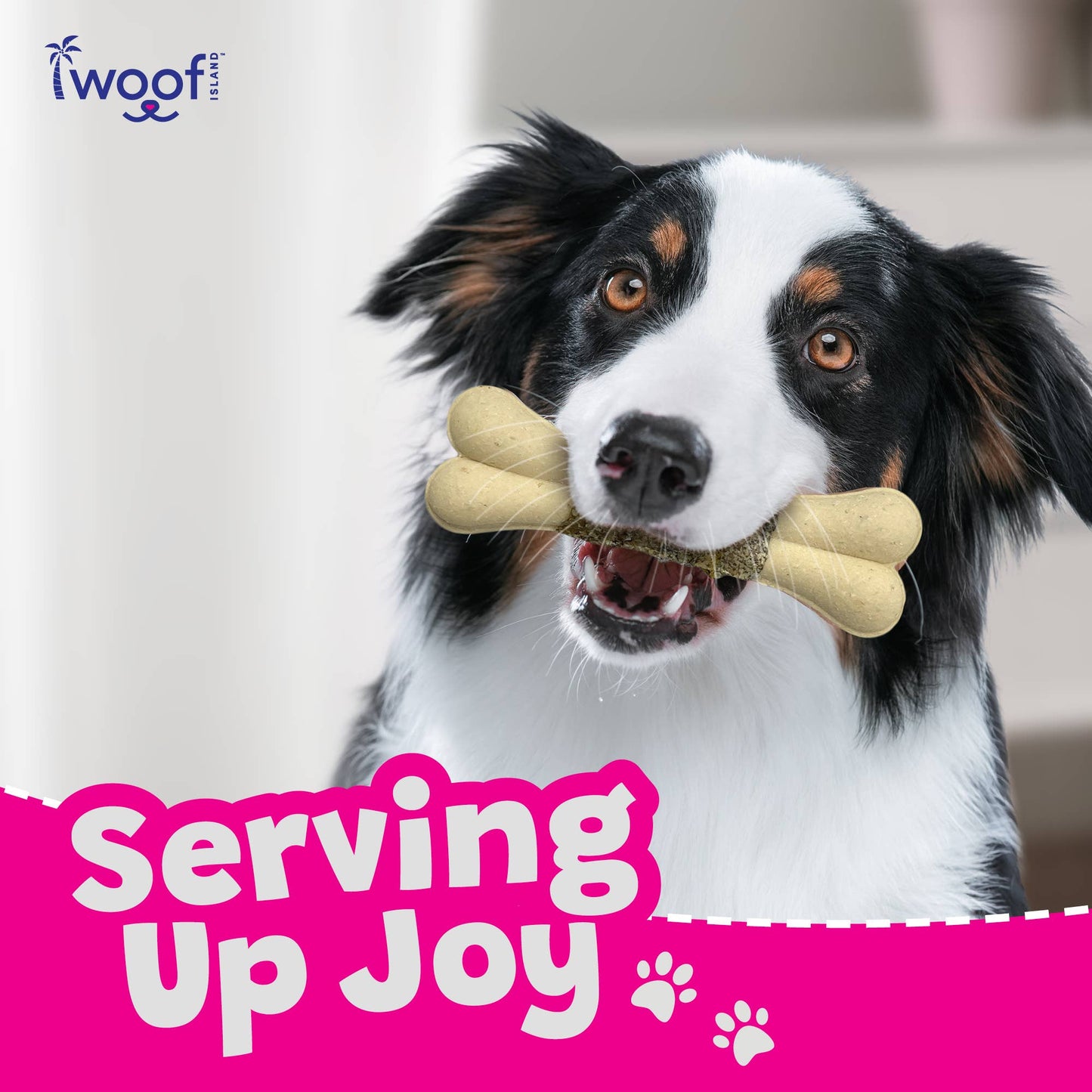 🥥🥭🐟 Woof Island™ Coconut Bones with Real Mango & Fish Skin – Rawhide-Free Natural Dog Chews
