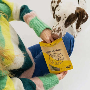 Turmeric Bison Jerky 4.8 ounces