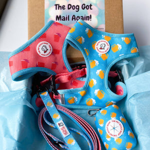 Summer Beer Reversible Harness