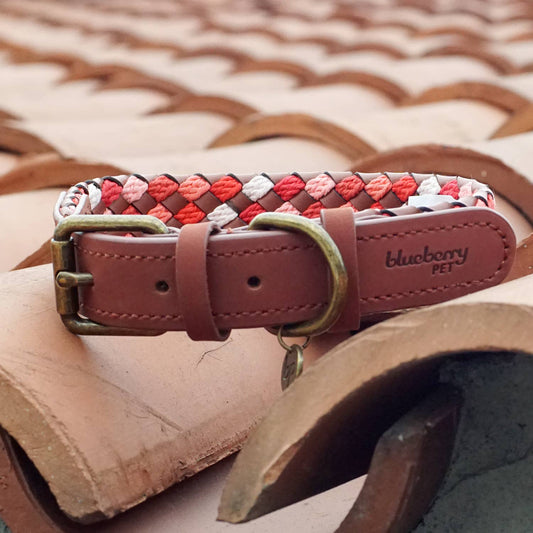 2 Colors, Braided Full Grain Leather Dog Collar