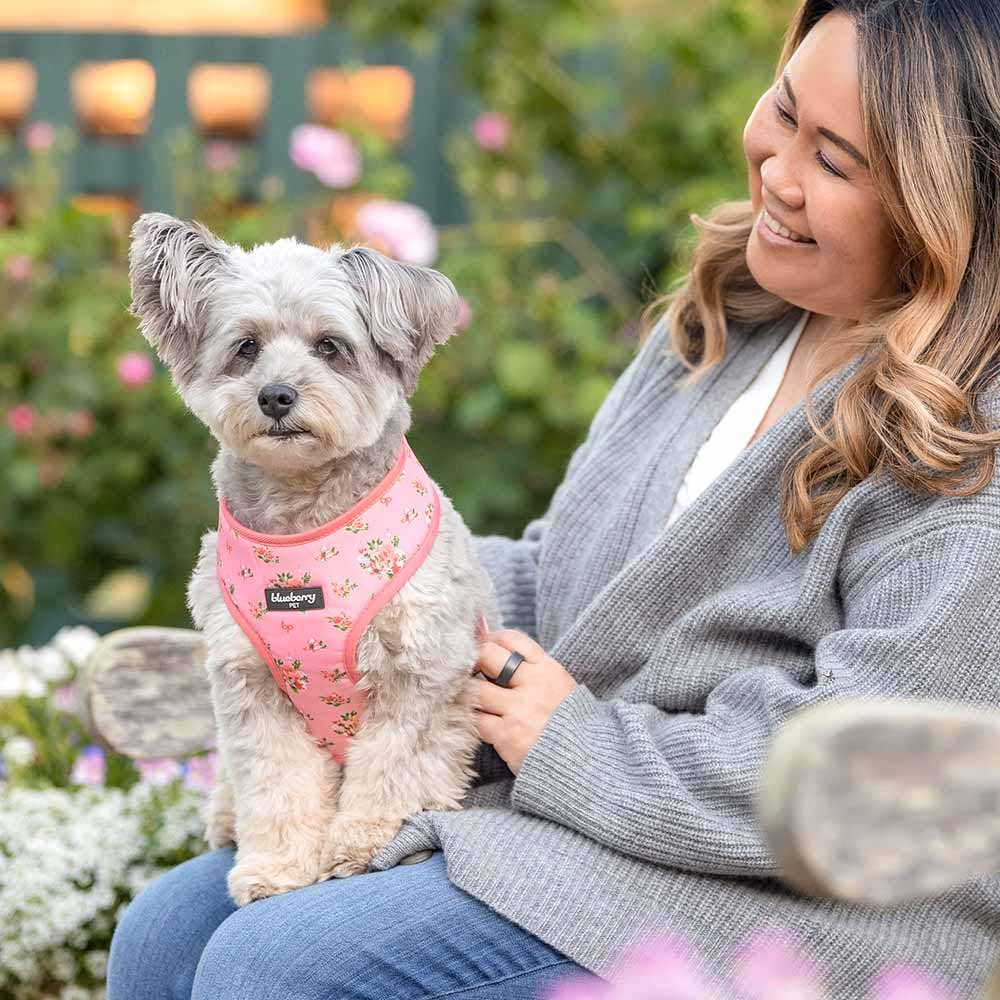 3 Colors, Petal Paws Floral Dog Harness Vest