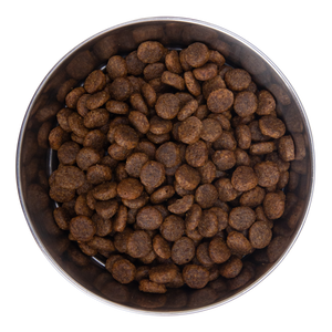 Grain Free Salmon & Sweet Potato Recipe