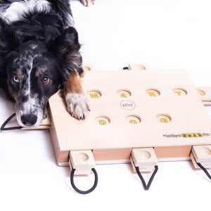 IPet - Smart Dog Toy