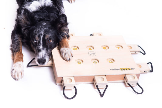 IPet - Smart Dog Toy