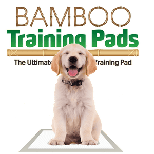 Bamboo Training Pads