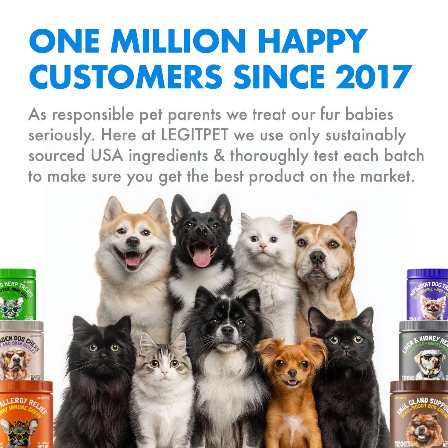 Multivitamin Cat Treats