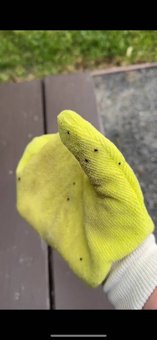 🧤🪲 TiCK MiTT | Non-Toxic Tick Remover Mitt for Pets & Outdoor Lovers 🐾