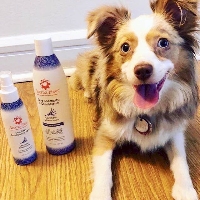 🌸Lavender Chamomile Dog Coat Spray 4.5oz