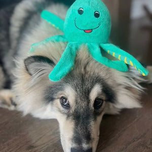 Clean Earth Recycled Plush Toys - 100%
Sustainable
