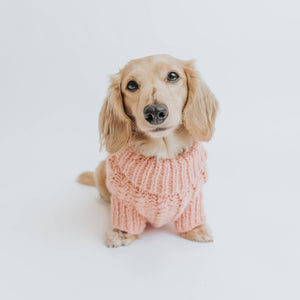 Dog Cable Knit Sweater - Pink