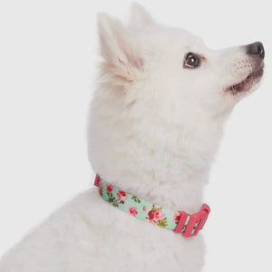 Spring Floral Pattern Light-Weighted Adjustable Dog Collar