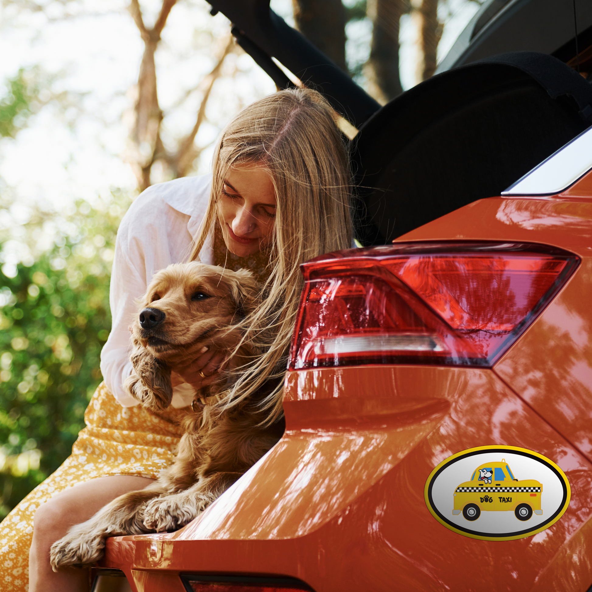 Oval Flexible Magnet - Dog Taxi