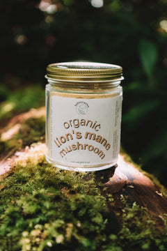 🍄 Lion’s Mane Mushroom Powder for Dogs – Cognitive & Immune Support