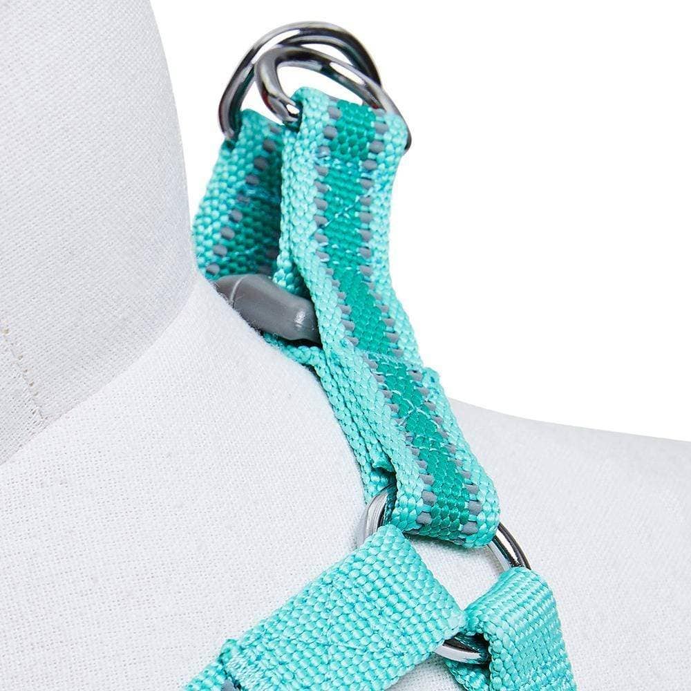 🌙🐾Better Basics Reflective Dog Harness