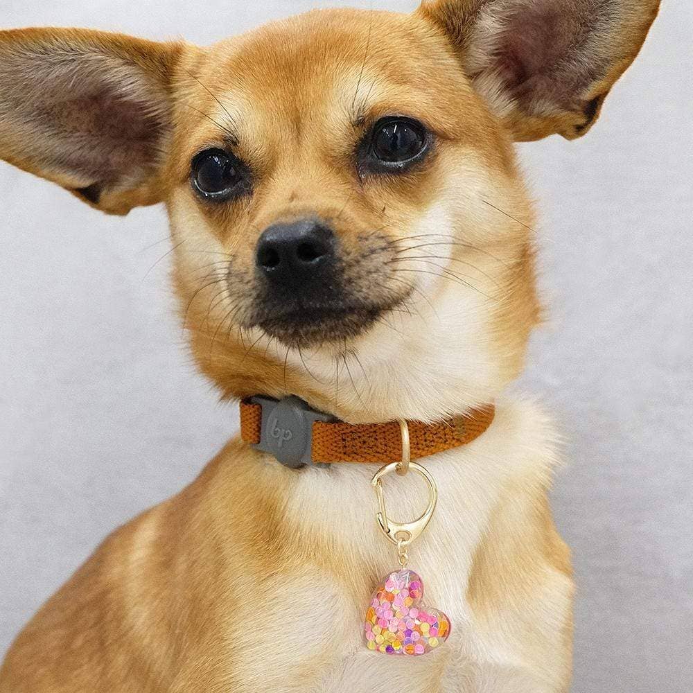 🌸👑 Flower & Pendant Dog Collar Accessory Set