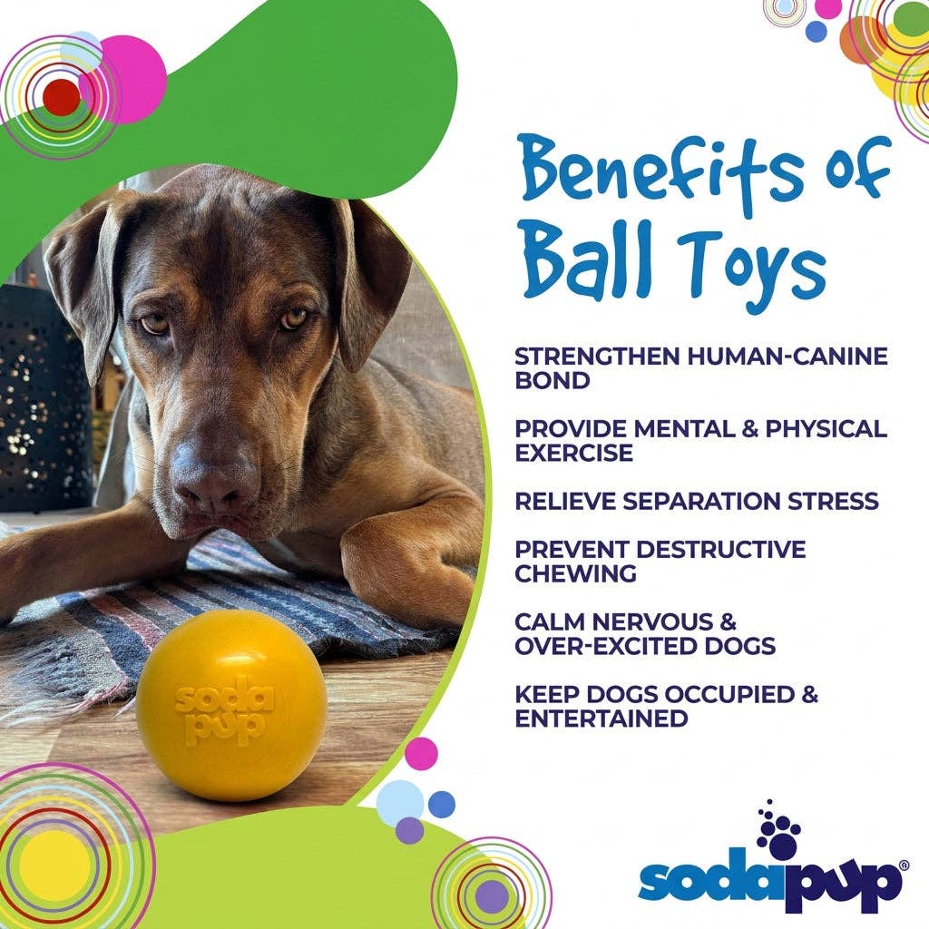 🐶🎾SodaPup Squeak Ball – Durable Floating Dog Toy Made in the USA