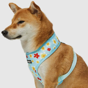 Tropical Yellow Plumeria Flower Dog Harness Vest