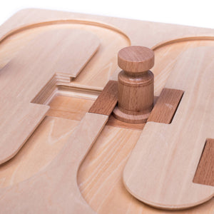 🧠 Advanced “008” Puzzle Game for Pets – Our Most Challenging Intelligence Toy