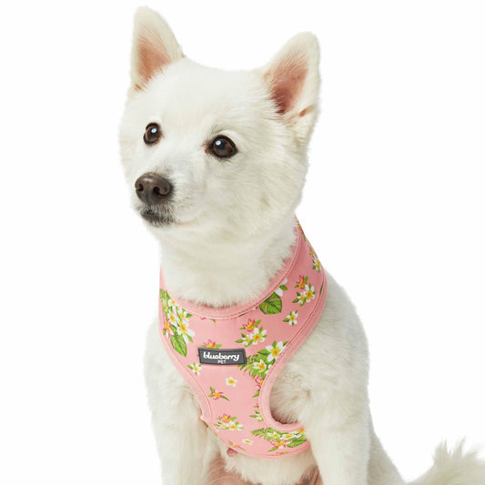 🌺🌴 Tropical Yellow Plumeria Flower Dog Harness Vest