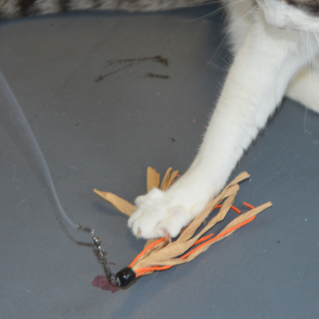Cuttlefish - Wand Attachment Replacement