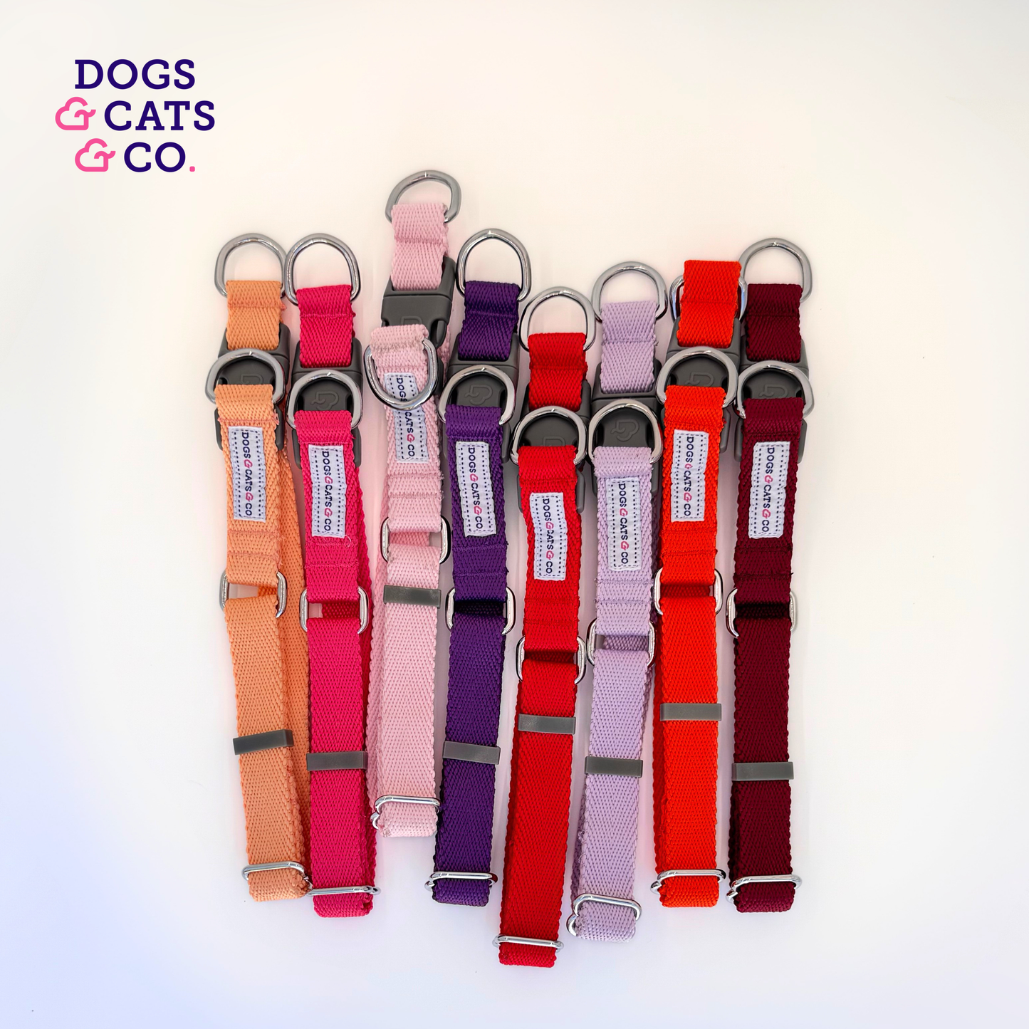 ✨ Dogs & Cats & Co. Double D-Ring Dog Collar 🐾