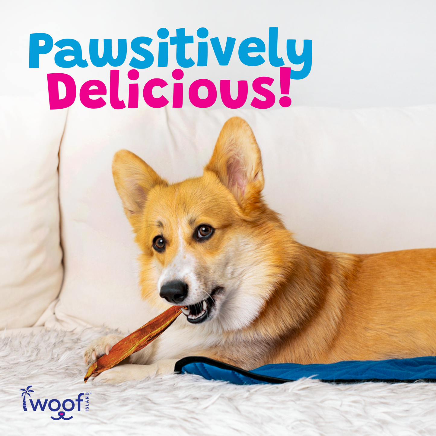 🦆🥭 Woof Island™ Duck & Mango Dog Treats – 100% Natural Crunchy Chews