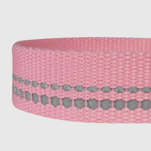 Spring Colors 3M Reflective Soft Padded Safety Leash