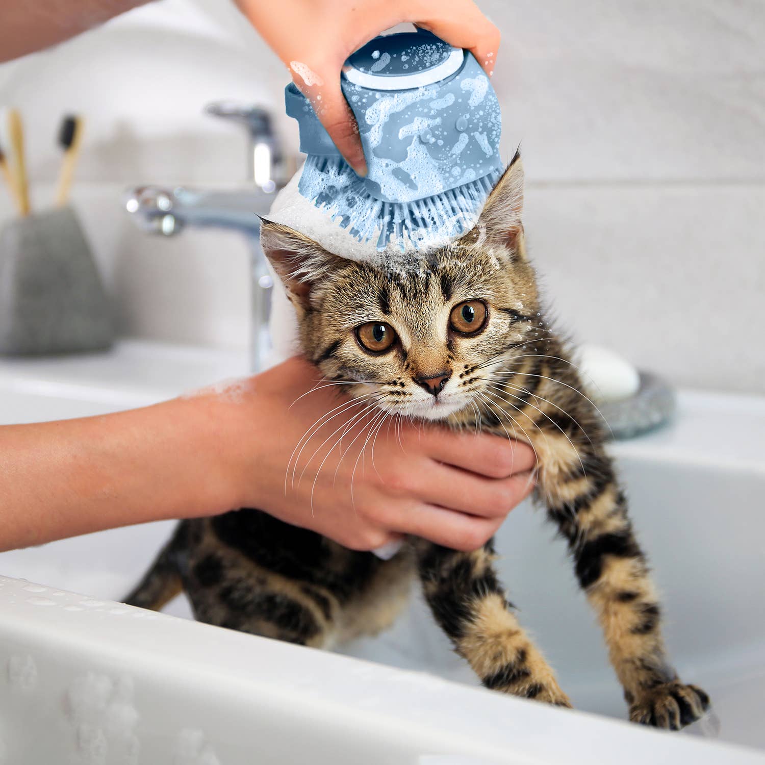 Ocean Plastic by PT Eco-Friendly Soap Dispensing Pet Scrub