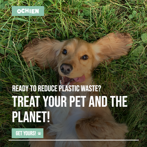 Recycled Ocean Plastic Dog Bowl
