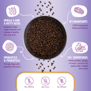 Grain Free Salmon Sweet Potato