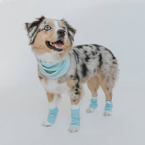 Dog Bundle Infinity Scarf & Leg Warmers