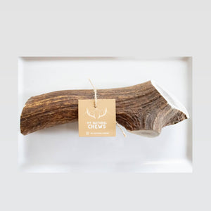 Elk Antler Chew-Various Sizes