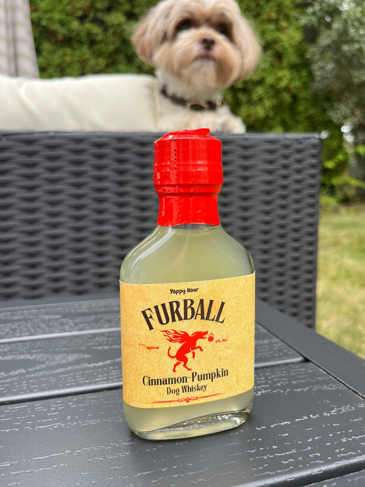 Furball Dog Whiskey Minis 100ml | Pumpkin