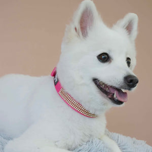 Bling Crystal Rhinestone Dog Collars