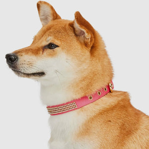 Bling Crystal Rhinestone Dog Collars