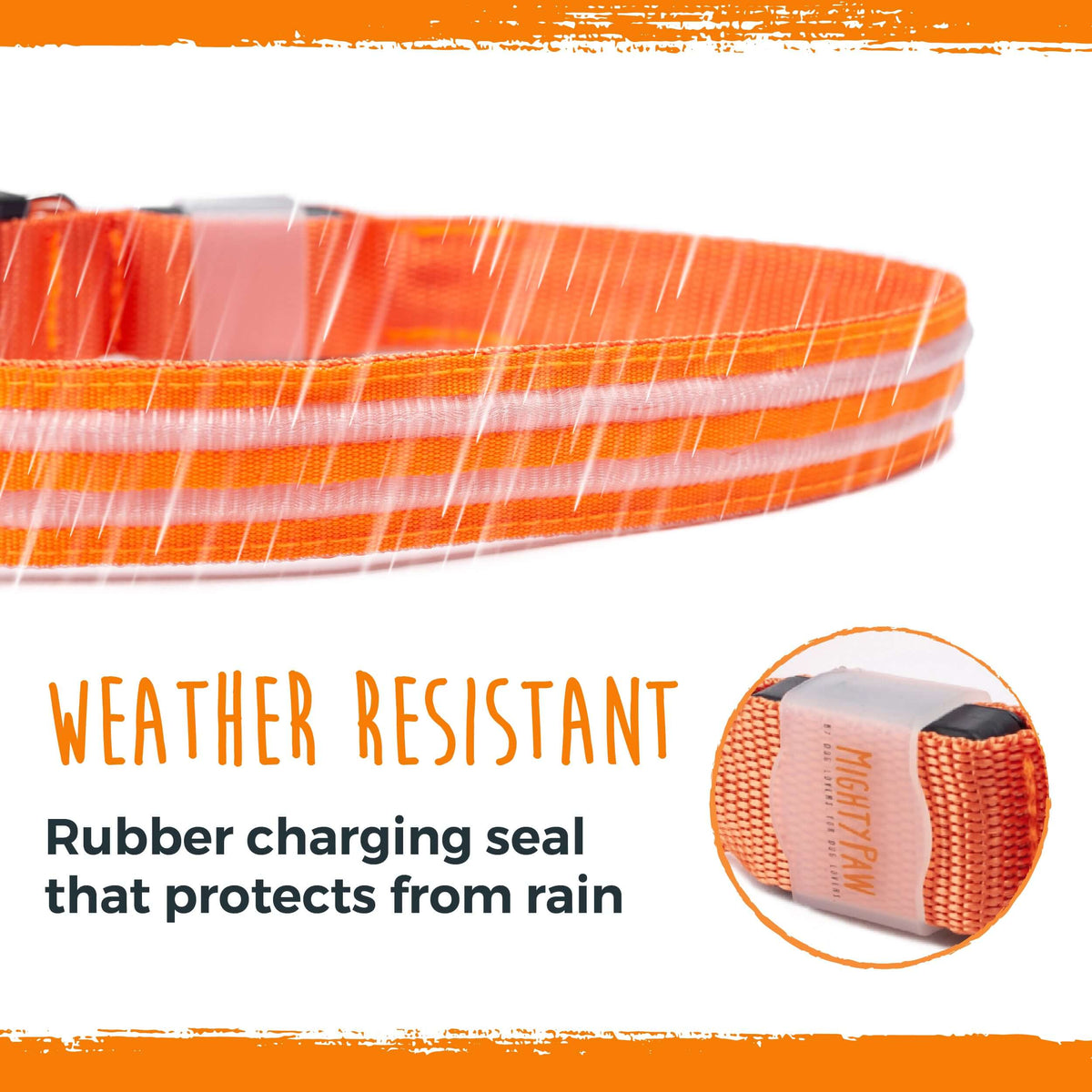 Weather-Resistant LED Dog Collar