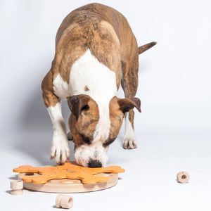 Carousel of Bones dog game