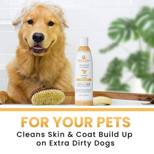 Mandarin Ginger Shampoo 13.5oz