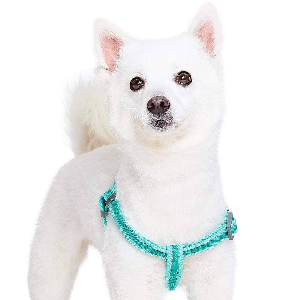 🌙🐾Better Basics Reflective Dog Harness