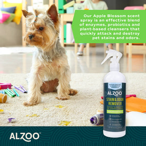 Enzymatic Stain & Odor Remover Apple Blossom