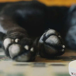 Paw Defense Wax