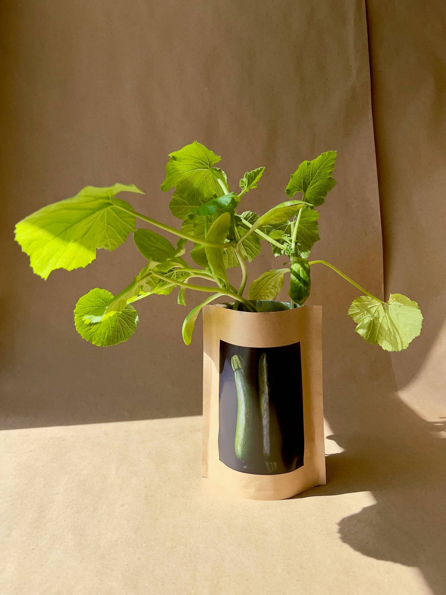 🌱🥒Seed Start | Zucchini | Spring Kitchen Garden Gift