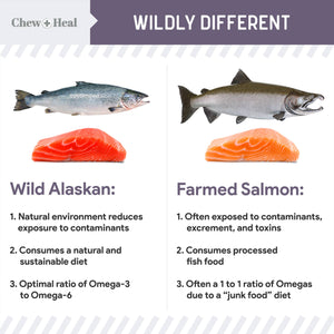 Senior Wild Alaskan Salmon Limited Ingredient Dog Treats