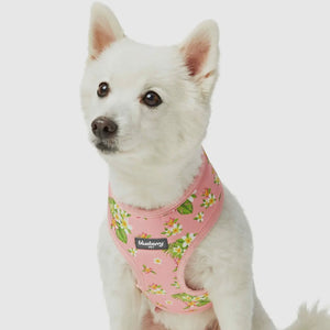 Tropical Yellow Plumeria Flower Dog Harness Vest