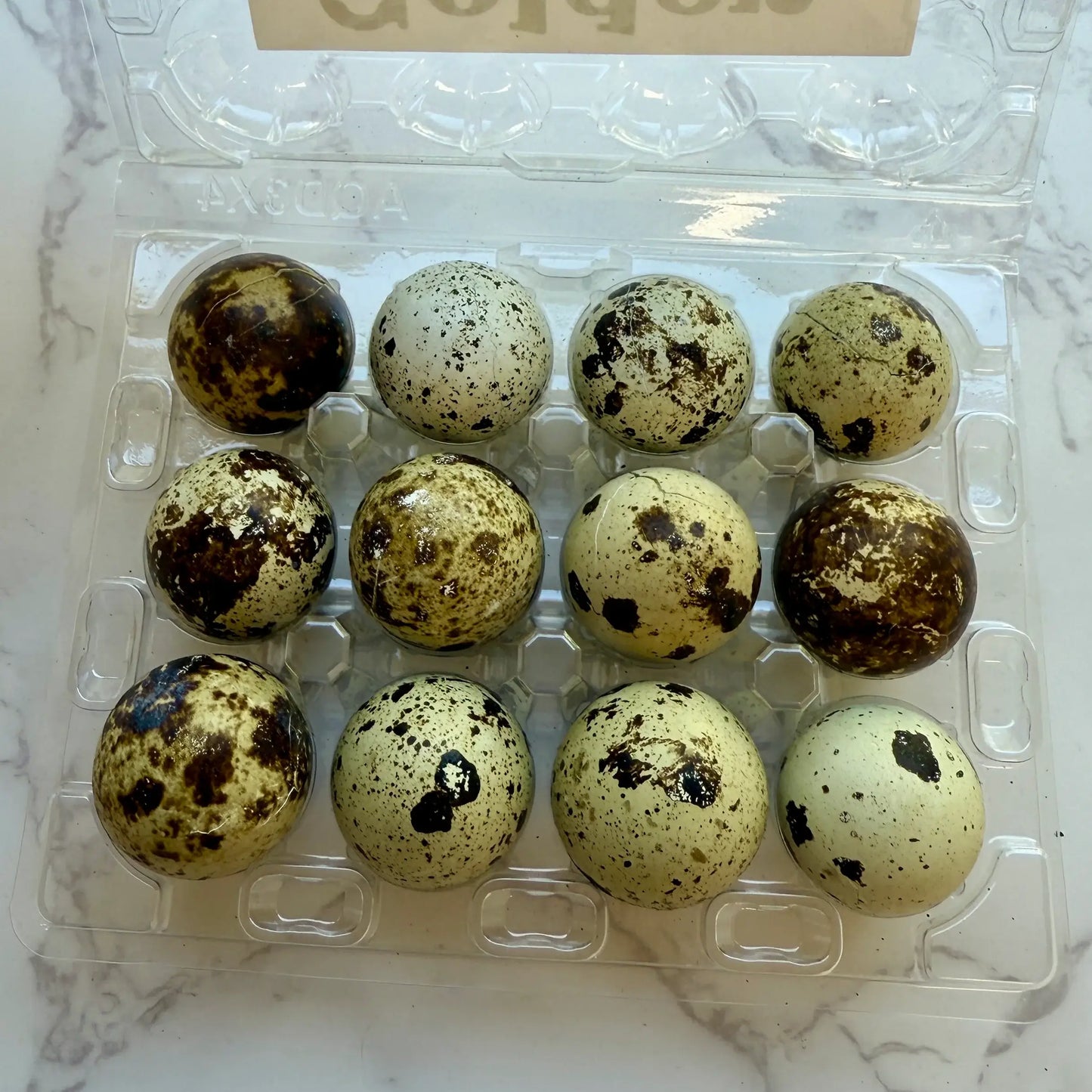🥚🐶🐱 Freeze-Dried Whole Quail Eggs – Single-Ingredient Treats for Dogs & Cats