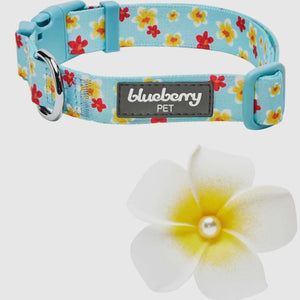 Tropical Yellow Plumeria Flower Dog Collar
